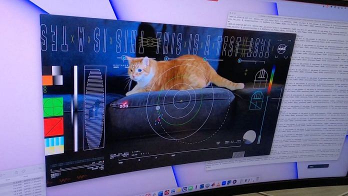 A computer screen in the mission support area shows Taters the cat in a still from the first high-definition streaming video to be sent via laser from deep space, as well as the incoming data stream delivering the frames from the video | Photo courtesy: NASA/JPL-Caltech