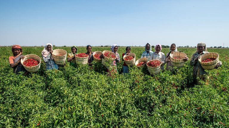 Digital agriculture could transform food security for India’s women farmers. Here’s how