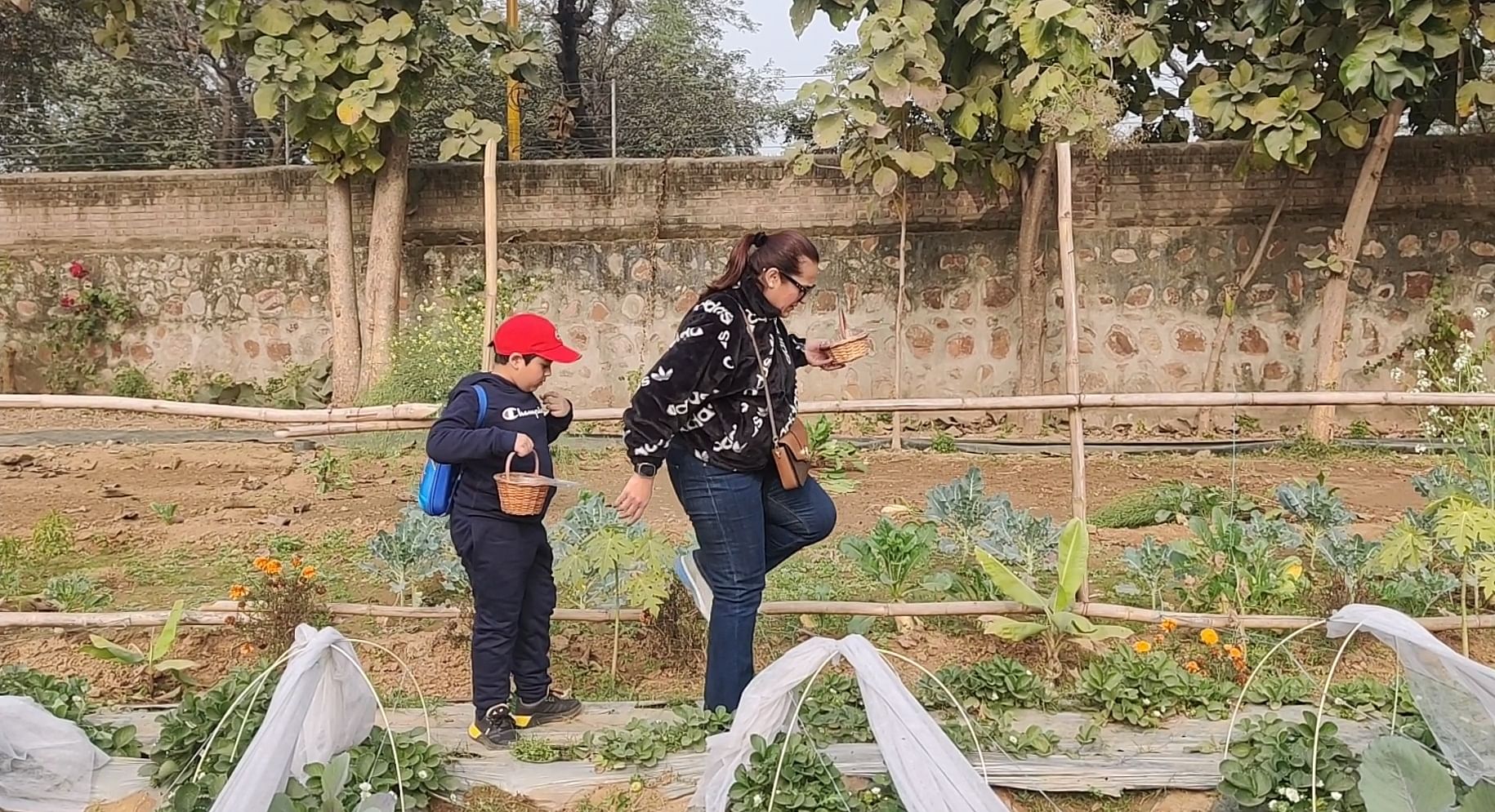 Mother and son looking for strawberries | Tina Das, ThePrint
