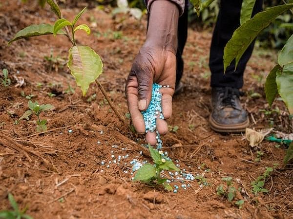 Urea Gold: Cabinet approves launching of Sulphur-coated fertilizer