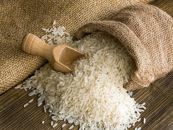 Indian rice exporters face challenges amid policy risks and high prices in 2024