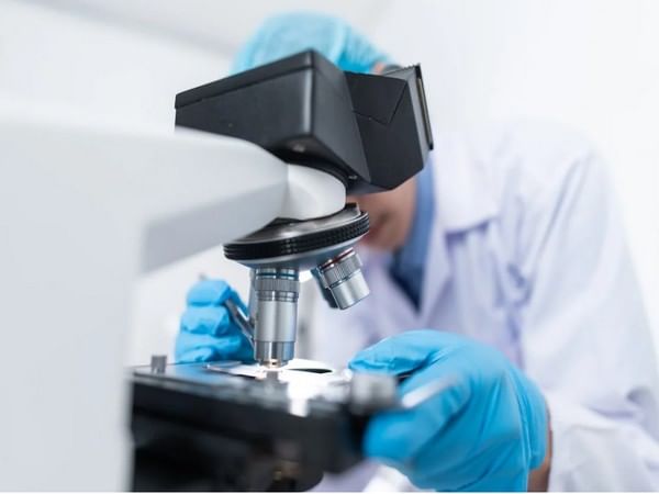 Study gives new insights into fungal infections