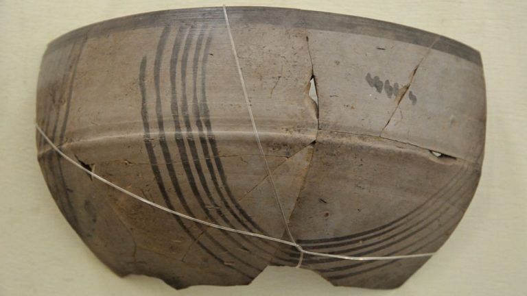 Painted Grey Ware from Bareilly holds the key to the question: Did India have a ‘dark age’?