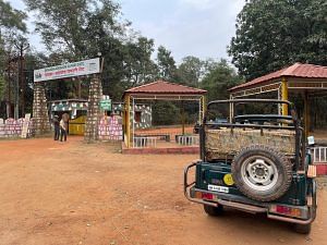 One of the 22 gates of the Tadoba Andhari Tiger Reserve | Photo: By special arrangement