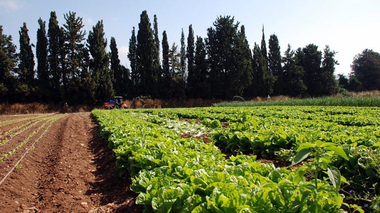 SubscriberWrites: With sole emphasis on MSP, critical issues around agriculture remain unaddressed