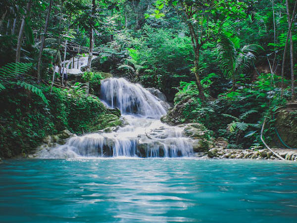 Temperature can influence microbial competition in rivers: Study