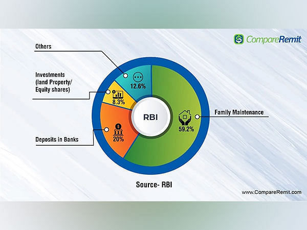 100 Billion and Beyond: From Silicon Valley to Bollywood. Quantifying the Economic Impact of NRIs on India