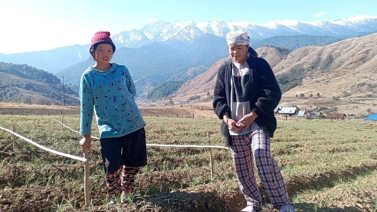 Will saffron bring new riches to Arunachal? Women in Menchukha betting big on purple flowers