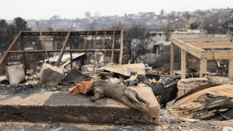 ‘Tragedy of great magnitude’ — Chile forest fires claims 123 lives so far