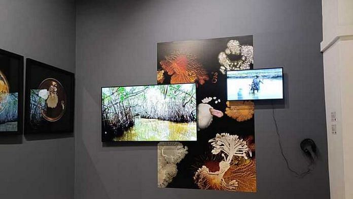 Edith Morales art