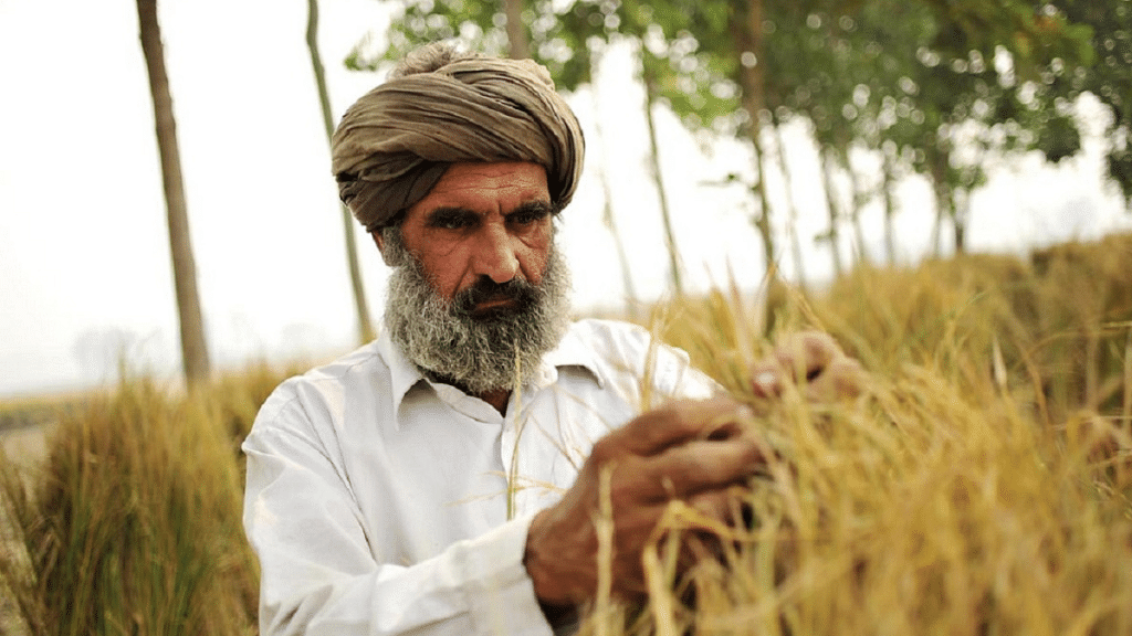 Representational image of an Indian farmer at work | Flickr