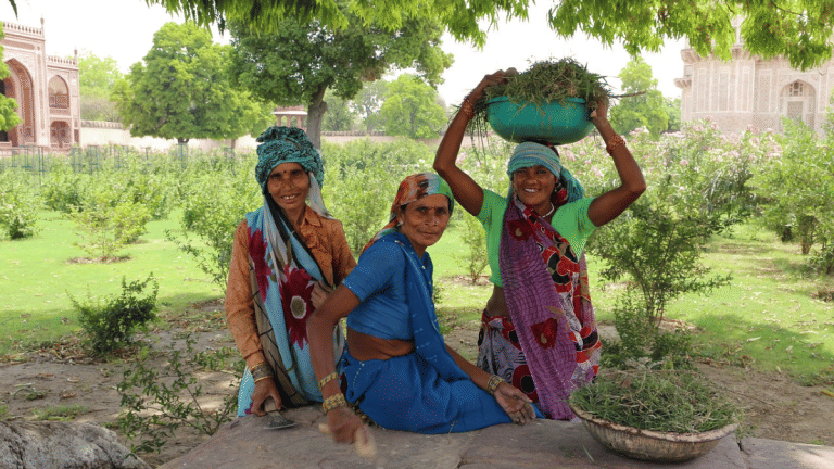 UN labour body ILO’s employment report on India is full of praise for govt data. Here’s what it says