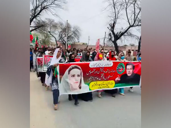Pakistan Tehreek-e-Insaf leaders held during protest over alleged 'election rigging'