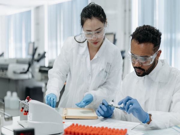 Study finds how key protein is linked to immune disorders