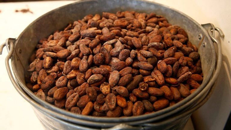 From Amazon basin to South & Central America — study follows journey cacao plant made 5,000 yrs ago
