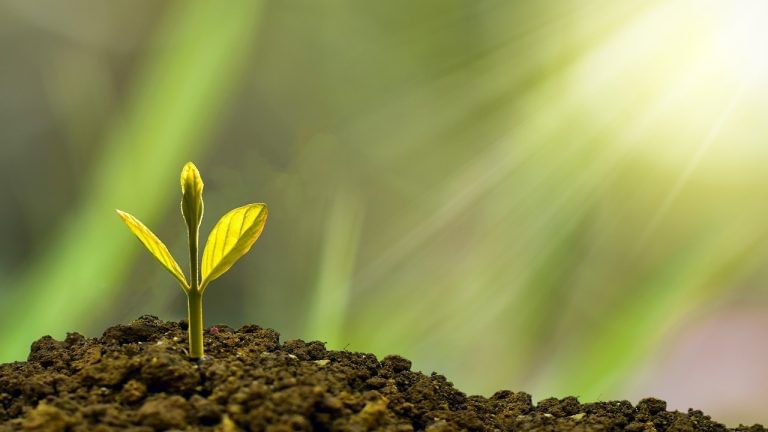 How to Earn Stable Investment Returns with Hybrid Mutual Funds?