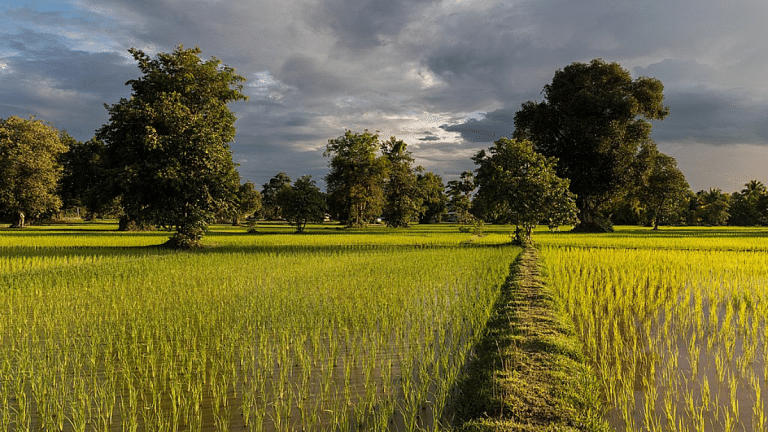 SubscriberWrites: Effects of Large Corporations on Indian and Worldwide Farmers