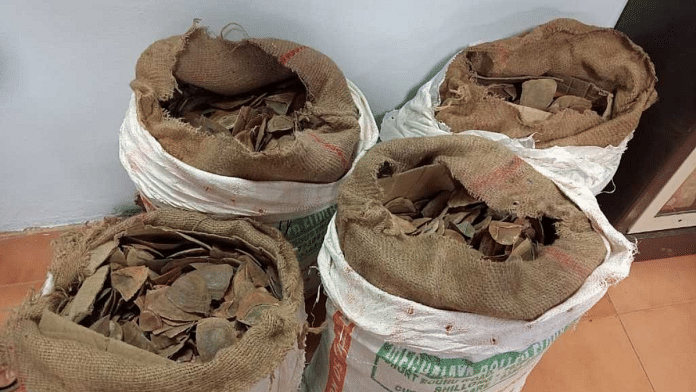 Officials claim 98 kg of pangolin scales were impounded | By special arrangement