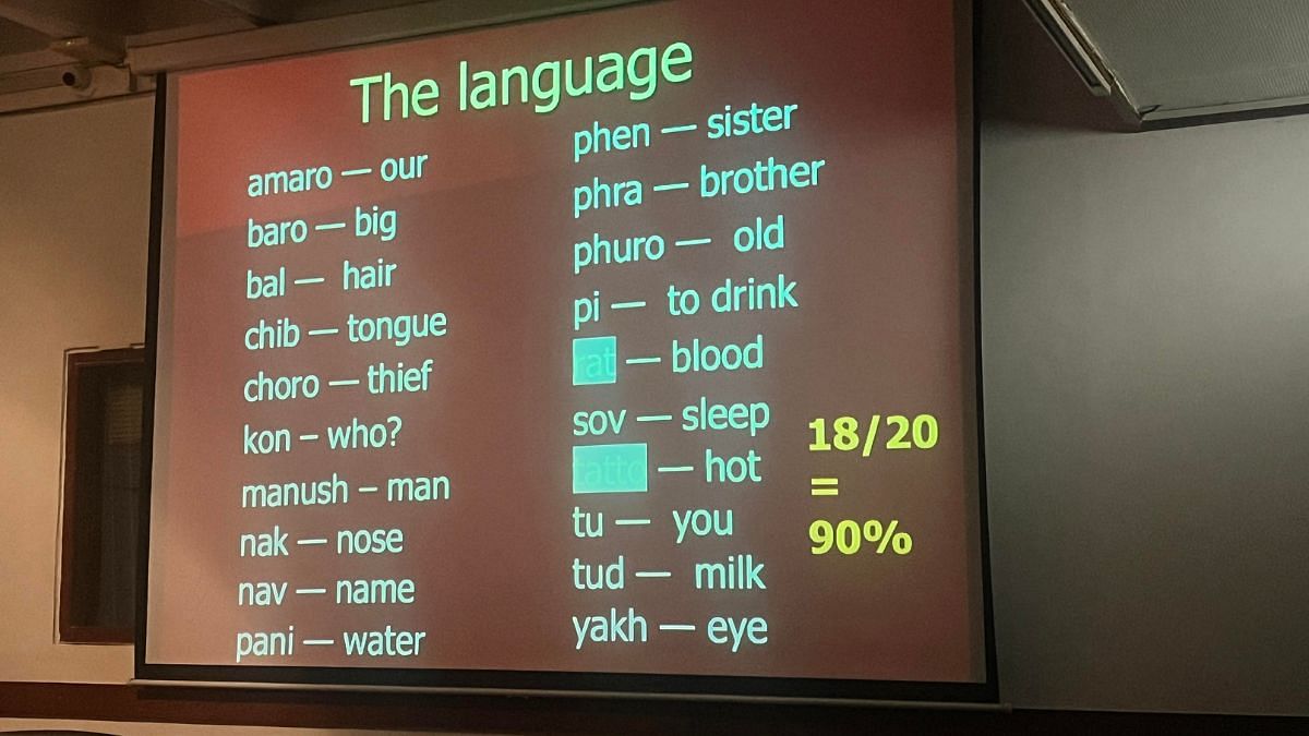A slide showing similarities between Romani language and Punjabi | Photo: Monami Gogoi, ThePrint