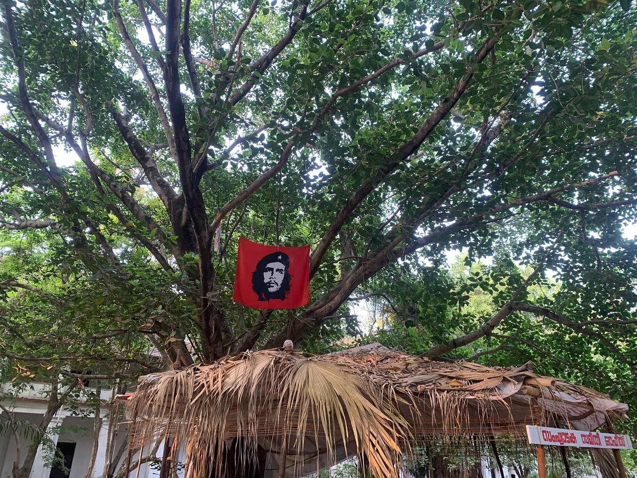 A flag of Che Guevara, a visual symbol of leftist idealism within the college campus | Antara Baruah, ThePrint