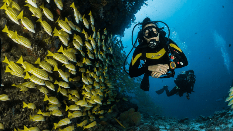 Underwater satellites to wireless connections—these technologies are saving our oceans