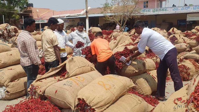 Bumper crop, bitter harvest—Byadgi chilli market riot is a warning bell for Karnataka
