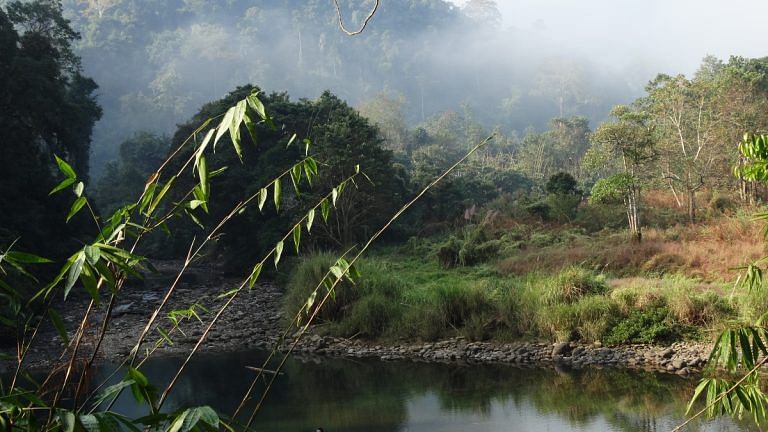 Pay attention to wildlife health. It’s the key to stop the sixth mass extinction