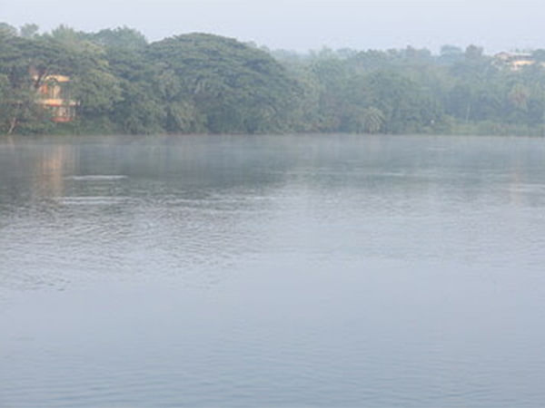 The Art of Living Revives Radha Kunj Lake: A Testament to Environmental Health