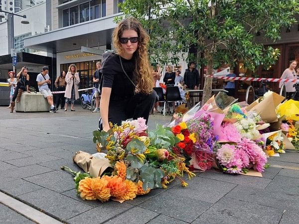 Sydney Bondi junction shooting offender 