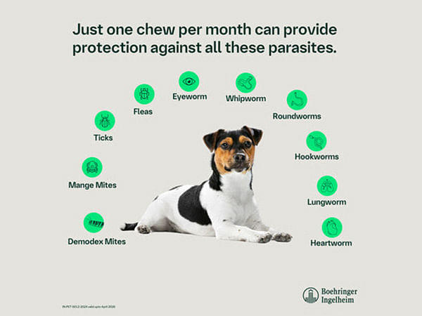 Boehringer Ingelheim introduces NexGard SPECTRA for dogs in India