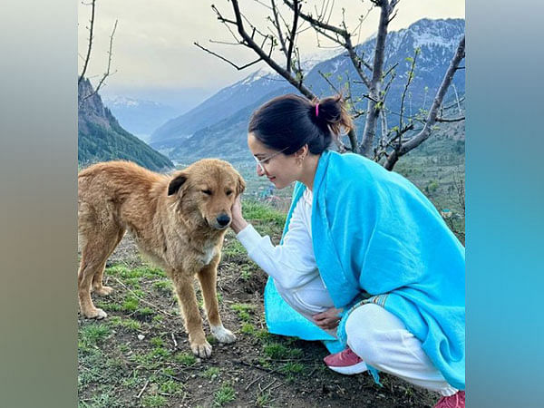 Shraddha Kapoor shares scenic pictures from her trip to the mountains