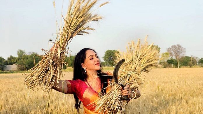 Hema Malini in the fields in Mathura | Photo: X/@dreamgirlhema