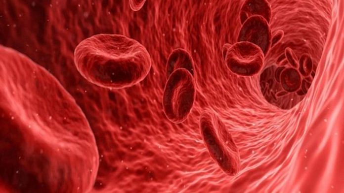 Red blood cell | Representative image | Commons