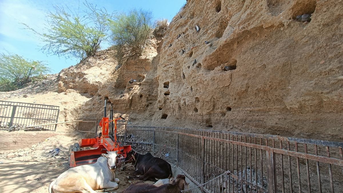 The Saraswati went extinct thousands of years ago. Now its evidence is on the same path. This despite governments heavily investing in the search of the 'mighty river'.