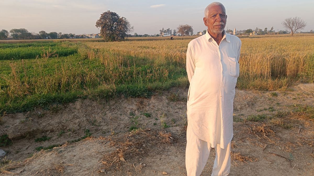 Babu Ram, Bhagwanpura villager of Haryana. Where Ram stands, it once be a archaeological mound but now it converted into agriculture field | Photo: Krishan Murari/ThePrint