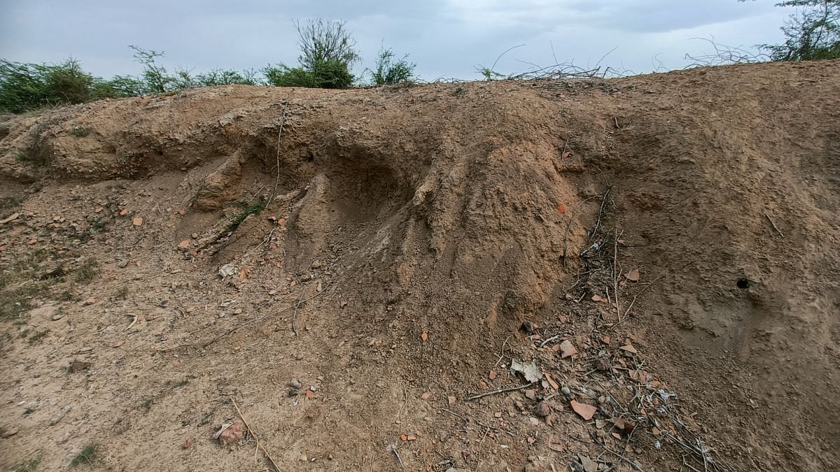 A razed archaeological site of Balu in Haryana | Photo: Krishan Murari/ThePrint