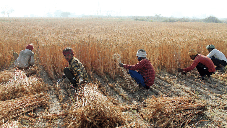 Poor, middle class, women, farmers & youth — BJP's manifesto focus ...