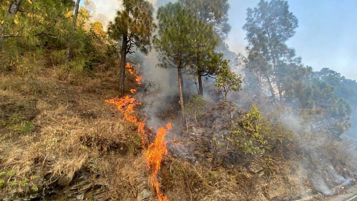 File photo: Forest area in Uttarakhand on fire | ANI