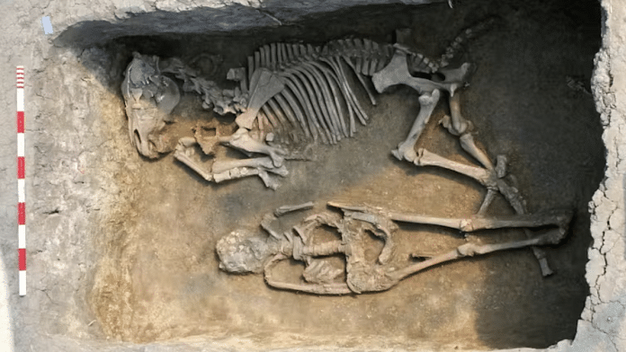 Burial with a horse at the Rákóczifalva site, Hungary (8th century AD) | Sándor Hegedűs, Hungarian National Museum, CC BY | Image via The Conversation