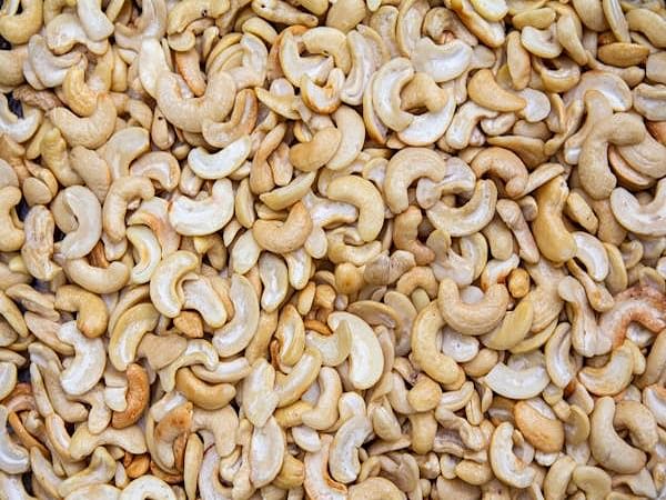 Ratnagiri cashew industry struggles despite global acclaim