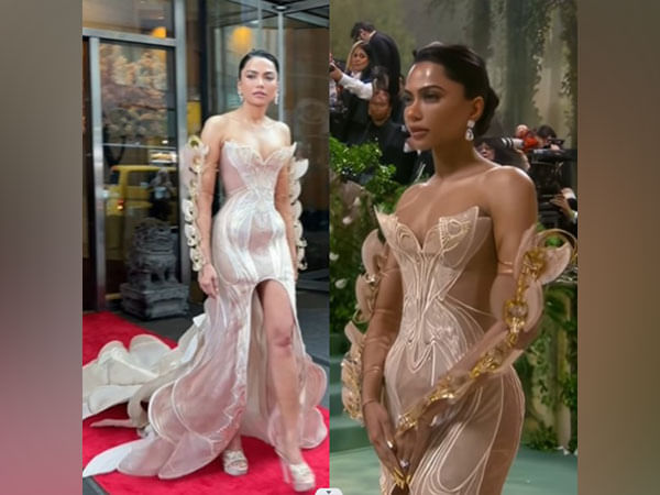 Met Gala 2024: Mona Patel's 'mechanical butterflies' outfit grabs eyeballs 