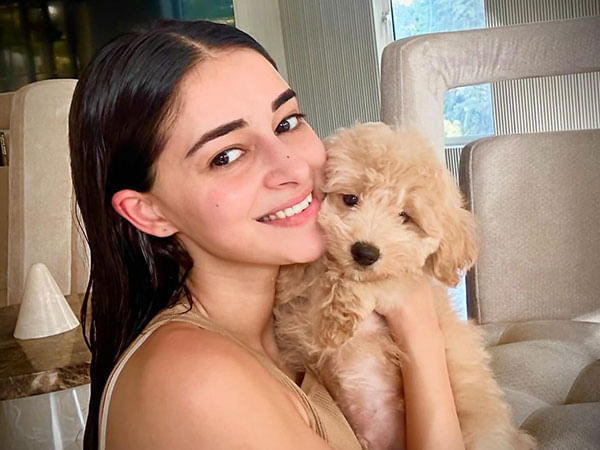 Ananya Panday's has a quirky take on Met Gala Theme: 'Sleeping beauties: reawakening fashion'