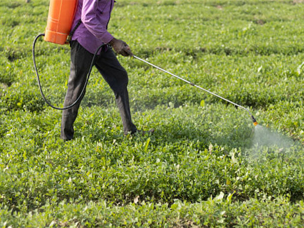 Indian fertilizer industry on track to reach Rs 1.38 lakh cr by 2032 amidst robust growth and strategic innovations