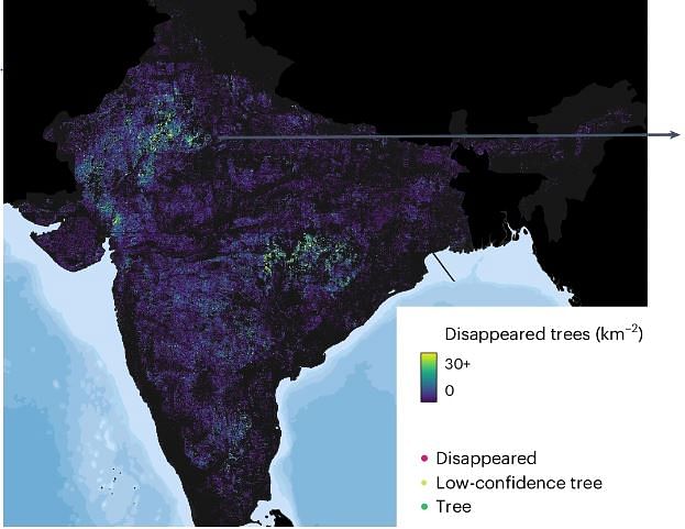 5.6 million trees disappeared between 2018-2019 and 2020-2022, shown per square kilometre | Nature Sustainability