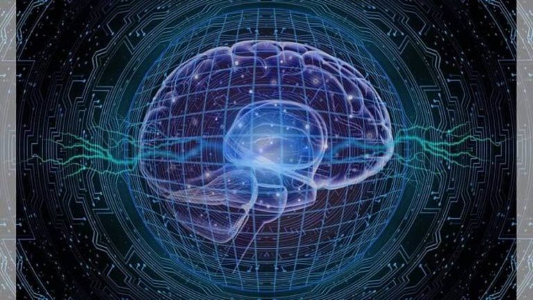 Scientists find ‘dial’ in brain that controls immune system, hope for autoimmune disease treatment