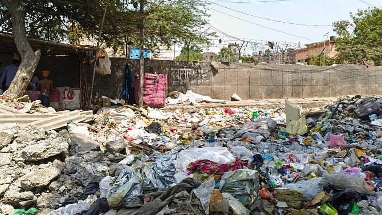 SubscriberWrites: My experience with garbage mismanagement in India and around the world