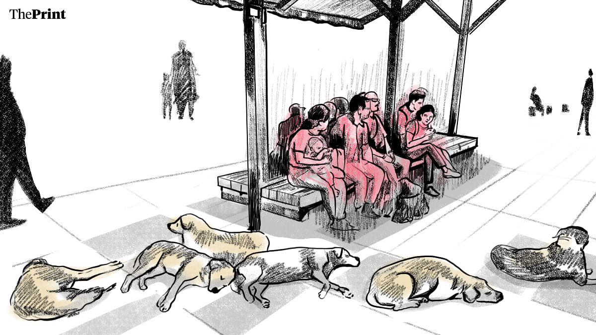Dogs lounging at Lal Chowk in Srinagar | Illustration: Prajna Ghosh | ThePrint