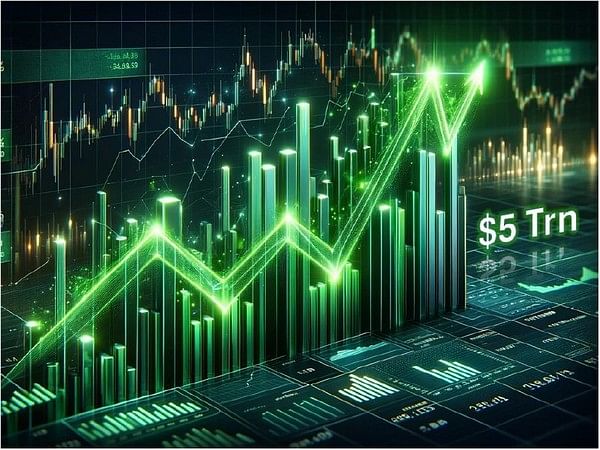 FPI ownership in NSE-listed companies has dropped below 18 pc in FY24