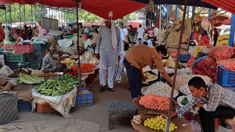 ‘Ek tukda zameen se kya hoga’ — agrarian distress is stark in Sonipat, PM Kisan isn’t enough