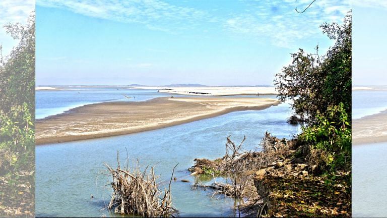 2 killed in firing by forest staff after ‘trespassing’ into Assam wildlife sanctuary, inquiry ordered